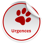 pict_urgence